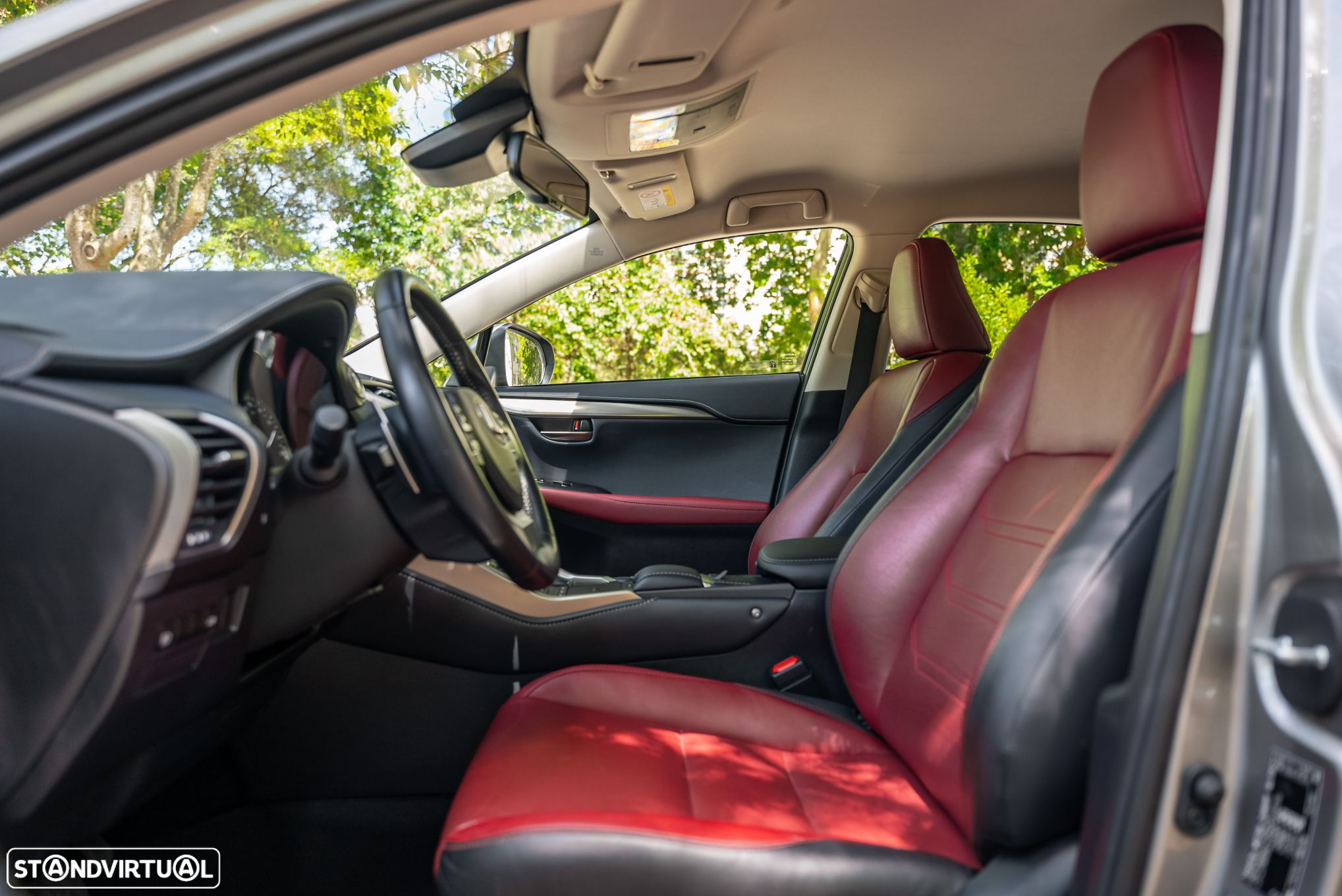 Lexus NX 300h - 14