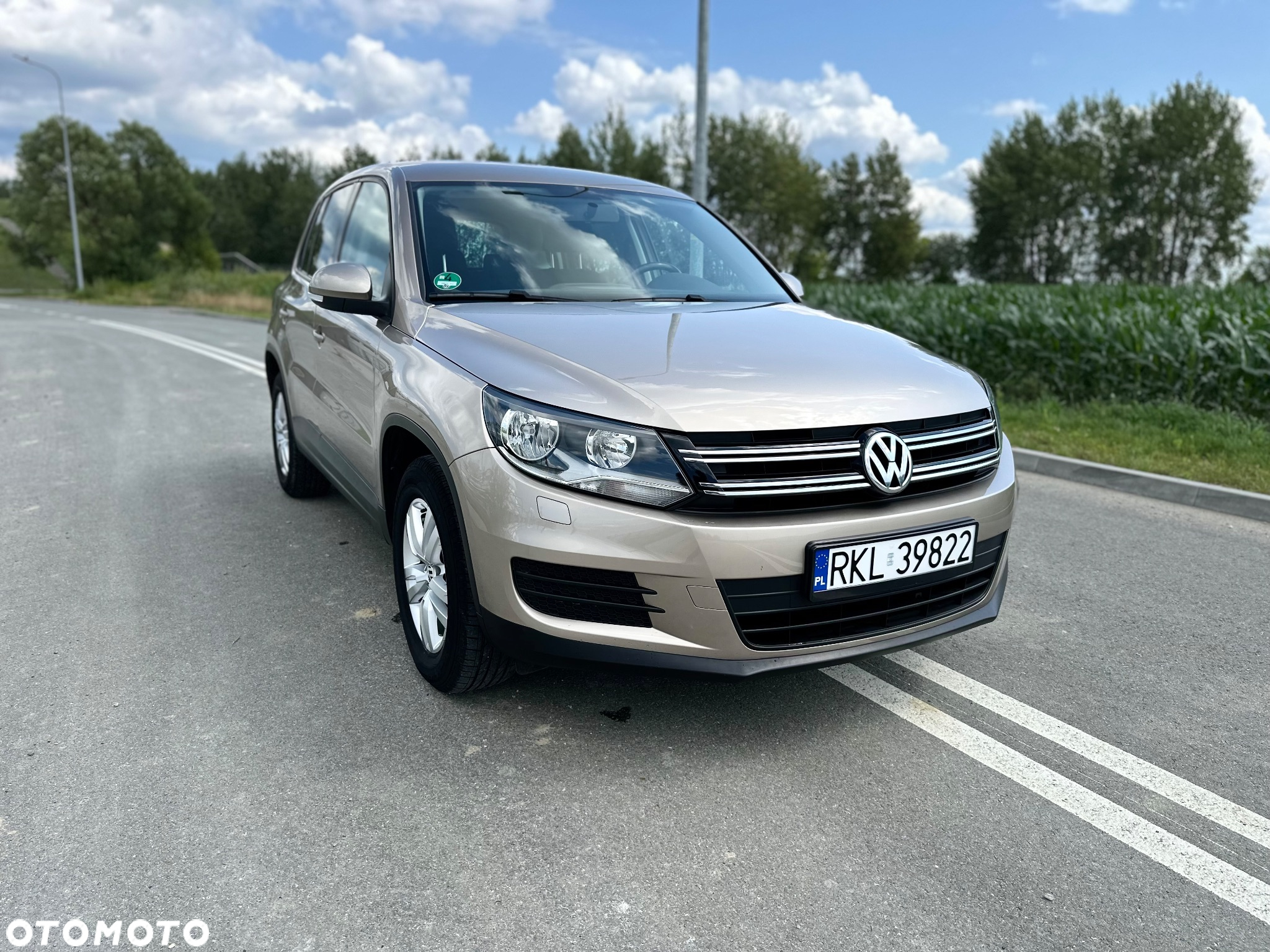 Volkswagen Tiguan 1.4 TSI (BlueMotion Technology) Trendline - 2