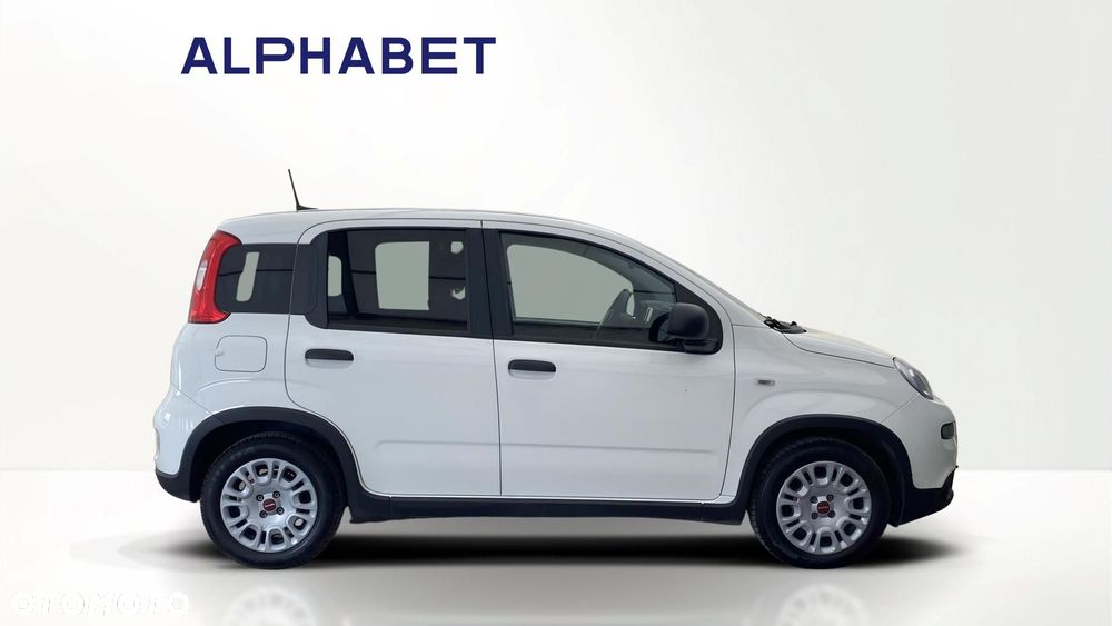 Fiat Panda - 6
