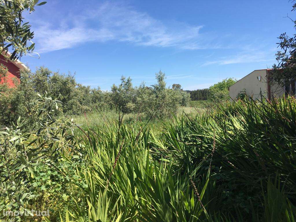 Lote de Terreno em São Martinho do Bispo - Grande imagem: 3/3