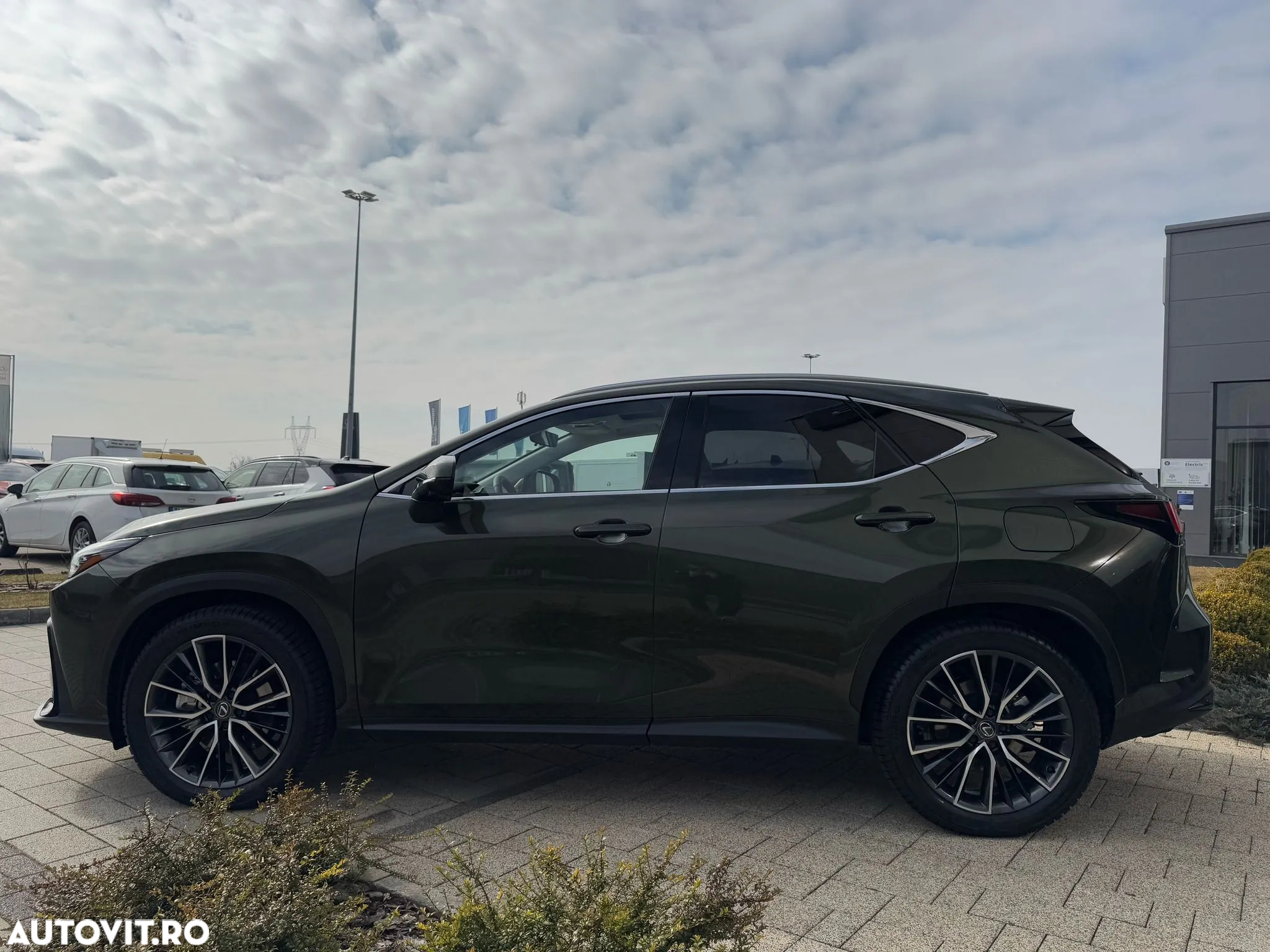 Lexus Seria NX 450h+ AWD CVT PHEV Luxury - 5