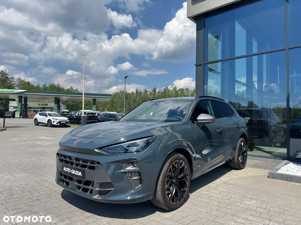 Cupra Terramar - 3