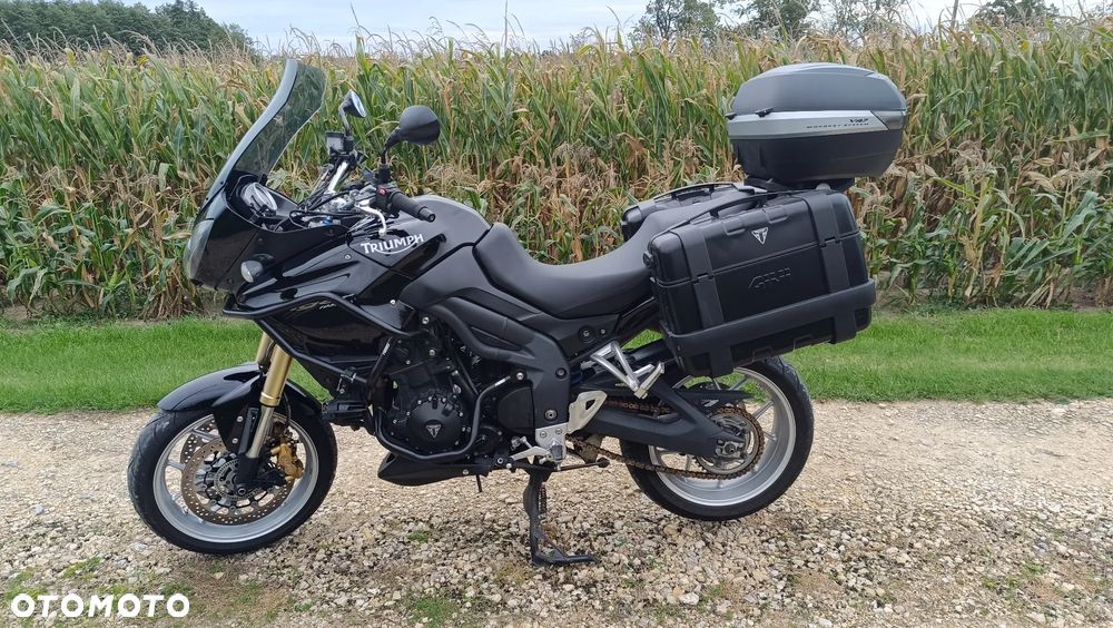 Triumph Tiger