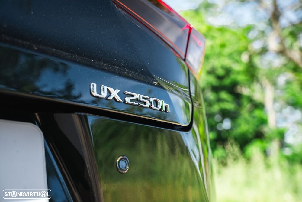 Lexus UX 250h F Sport - 20