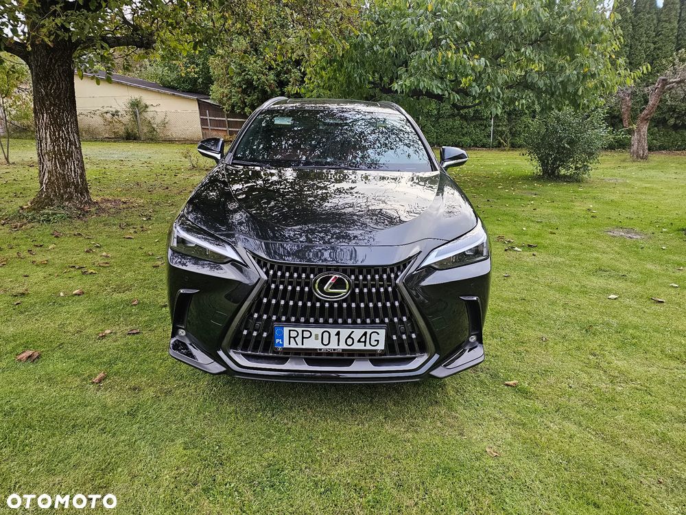 Lexus NX 350h Prestige AWD - 2