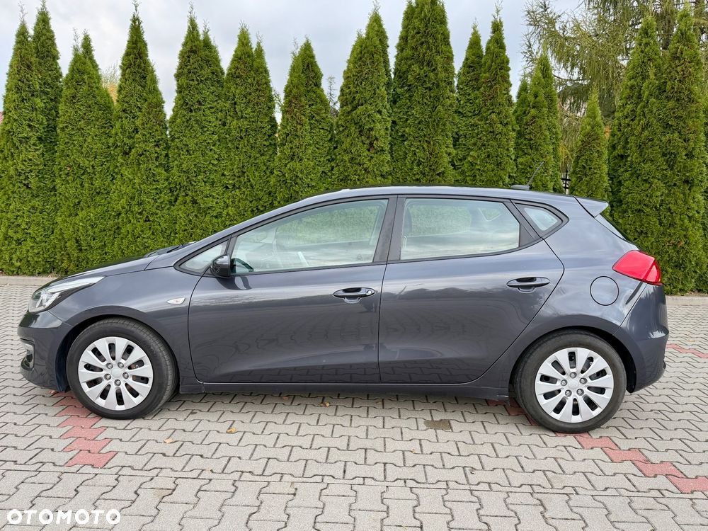 Kia Ceed - 15