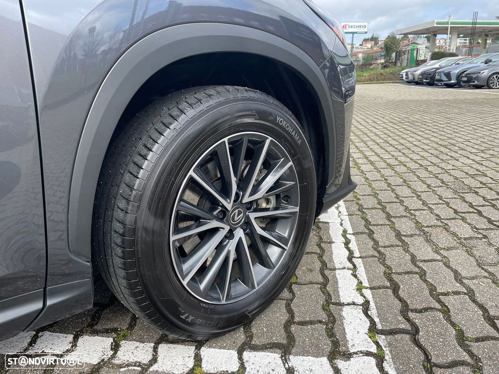 Lexus NX 450h+ Executive - 20