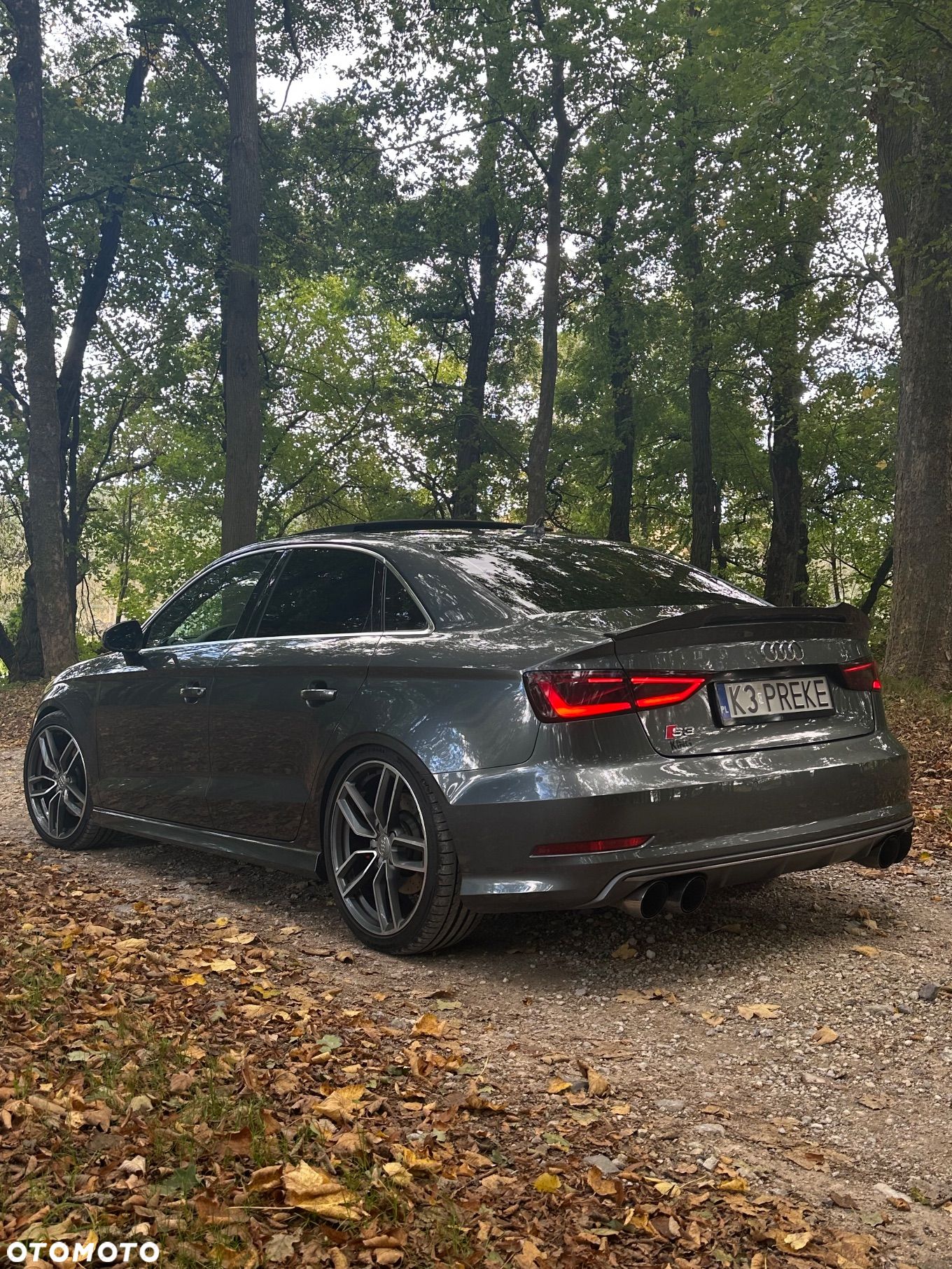 Audi S3 2.0 TFSI Quattro S tronic - 1