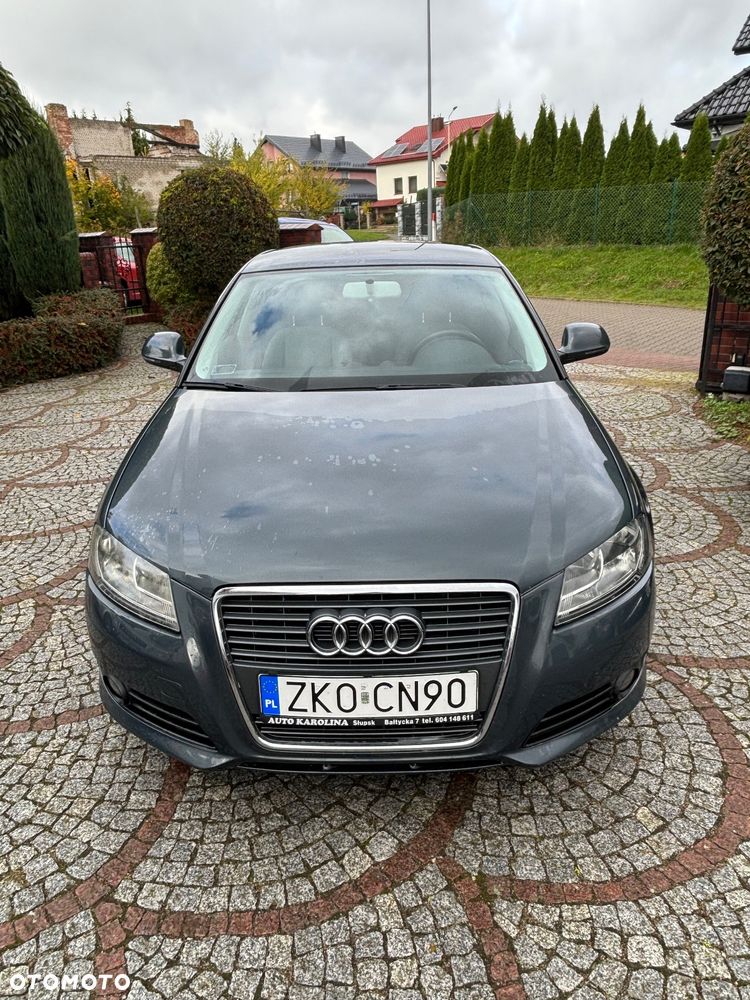 Audi A3 1.9 TDI Ambiente - 6