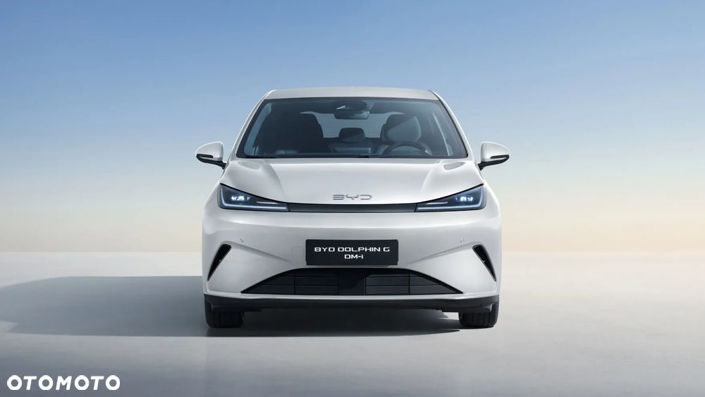 BYD Dolphin G - 2