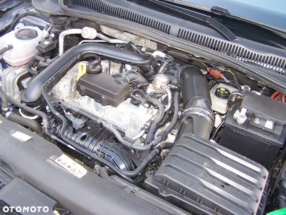 Volkswagen Polo 1.0 TSI Edition 50 DSG - 15