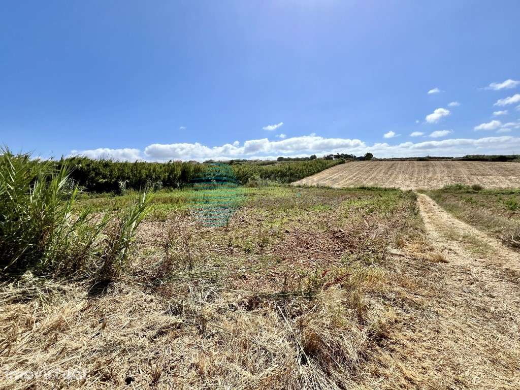Terreno agrícola localizado perto da Praia Azul - Grande imagem: 2/8
