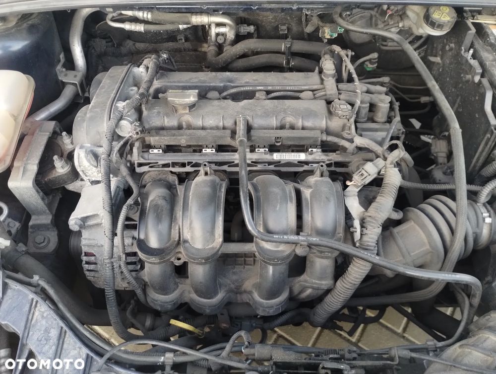 Ford Focus - 9