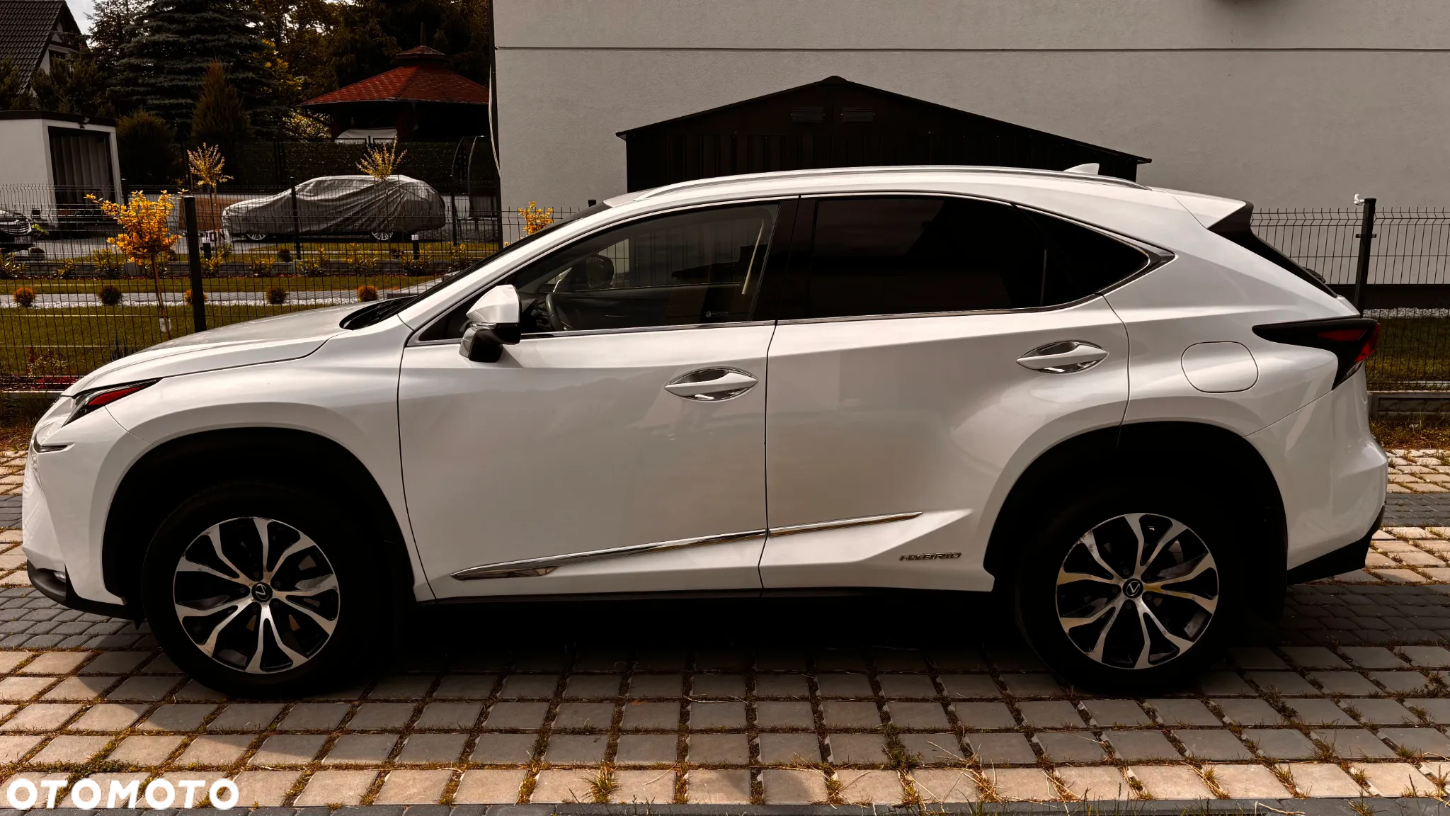Lexus NX 300h Elite AWD - 4