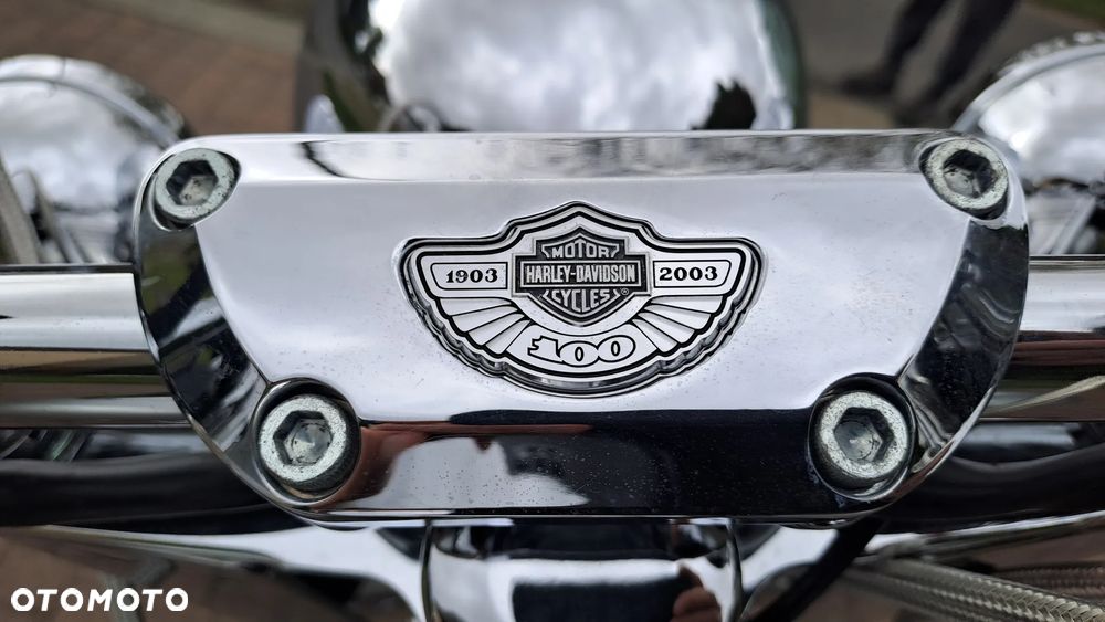 Harley-Davidson Softail Fat Boy - 20