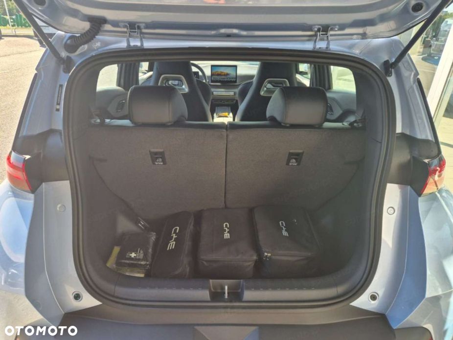 BYD Dolphin Surf - 13