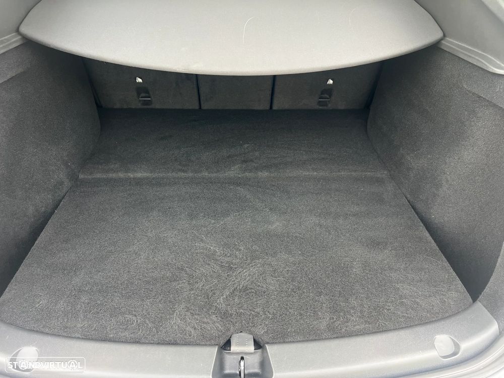 Tesla Model Y Performance Dual Motor AWD - 17