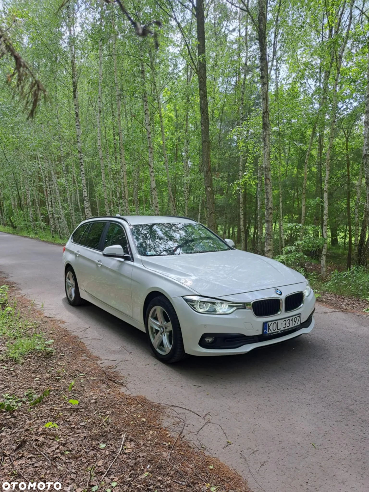 BMW Seria 3 318d Sport Line - 12