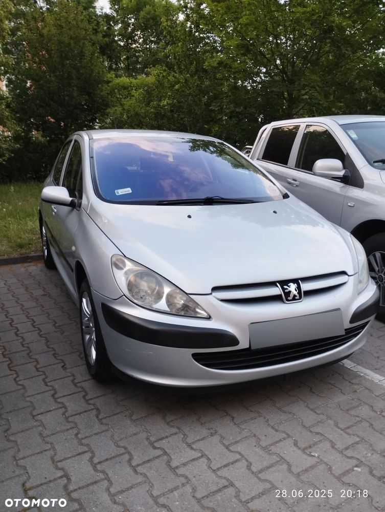 Peugeot 307 1.6 Mistral - 30
