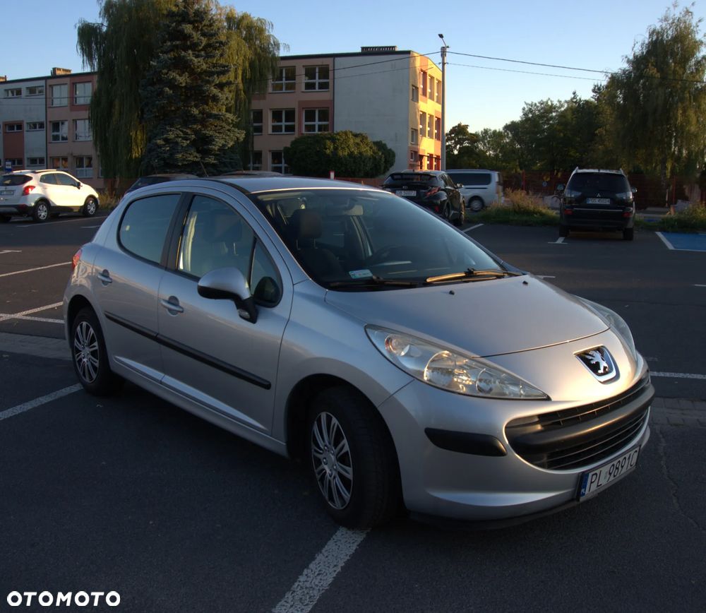 Peugeot 207 - 26