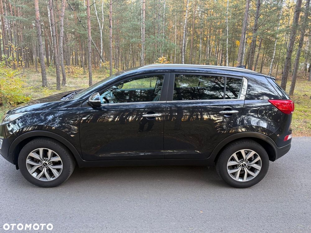 Kia Sportage 1.6 GDI L Business Line 2WD - 5