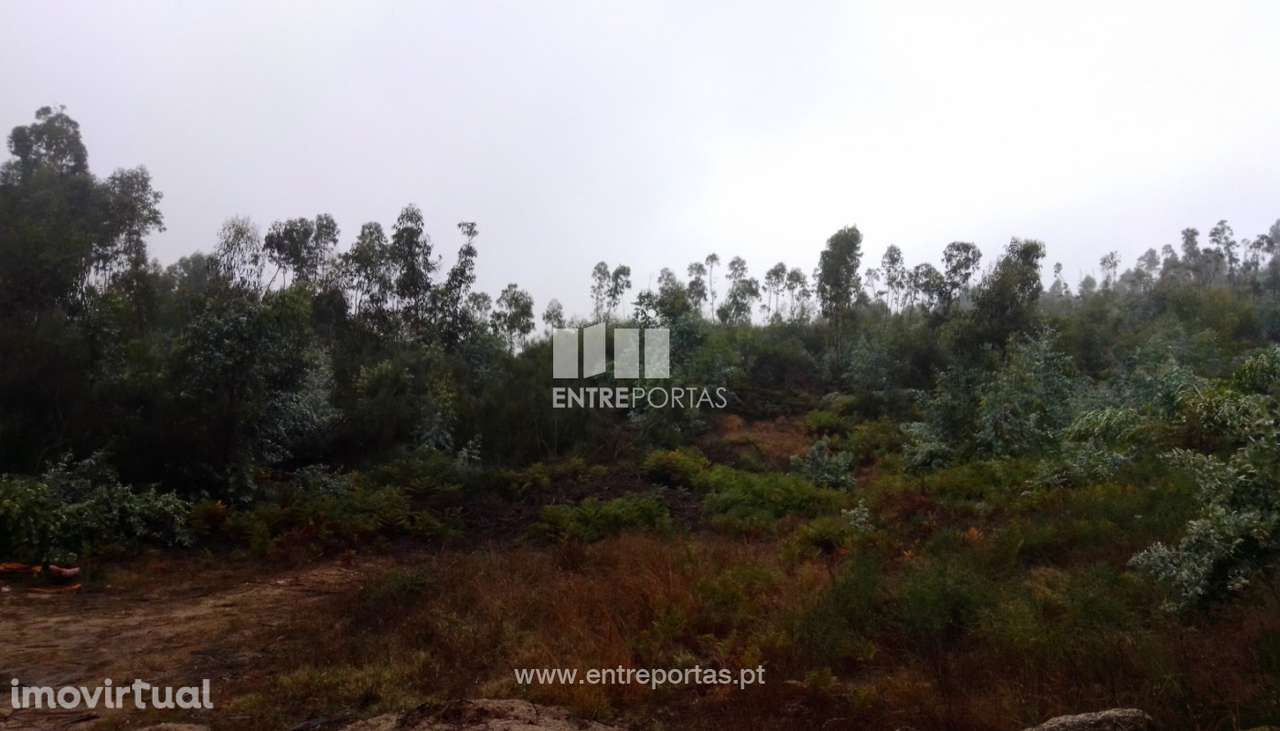 Venda Terreno com 3 hectares, Vila Boa de Quires, Marco de Canaveses - Grande imagem: 2/31