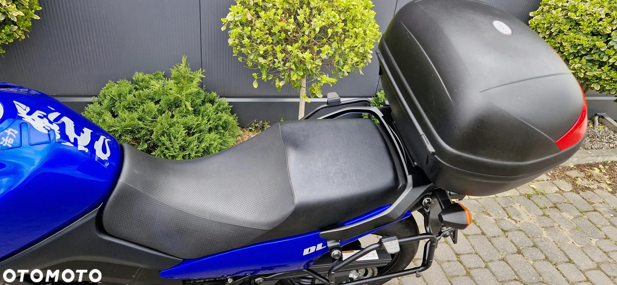 Suzuki DL - 36