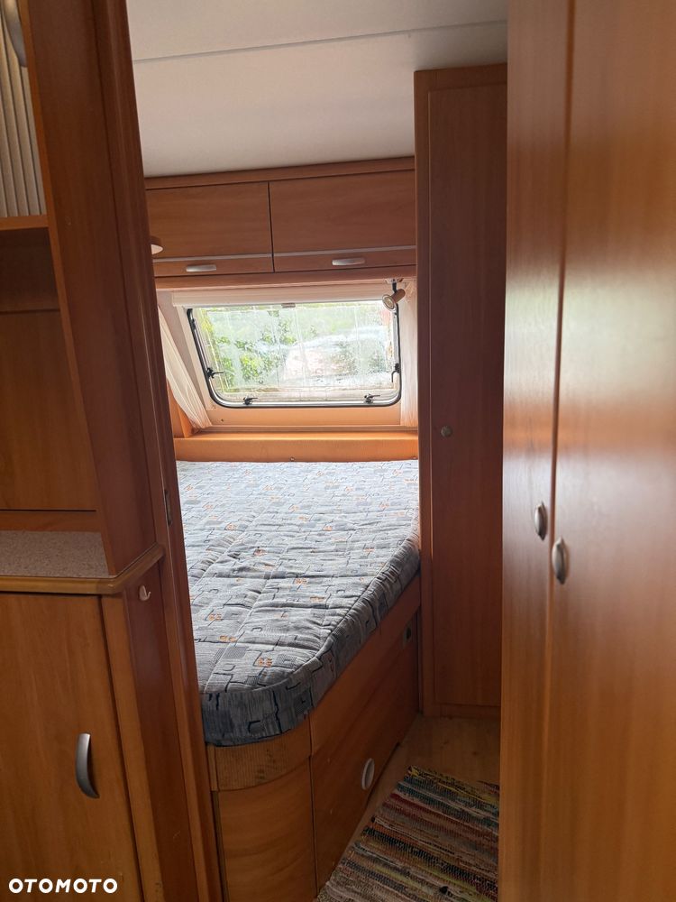 Wilk SPORT 490 - 6