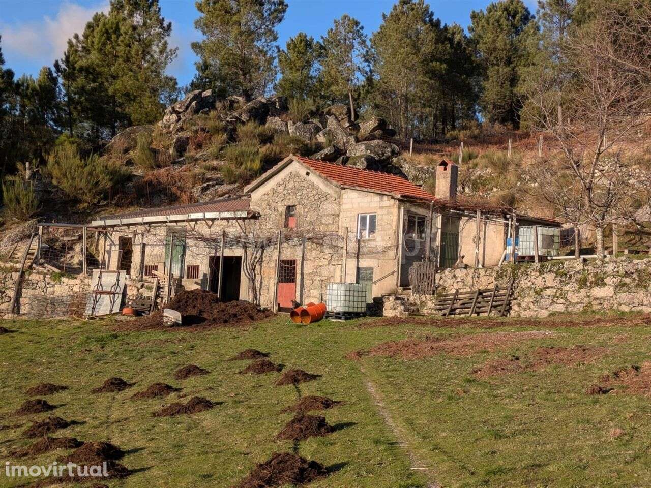 Quinta / Seia, Loriga - Grande imagem: 3/4