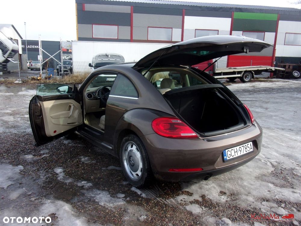 Volkswagen Beetle - 12