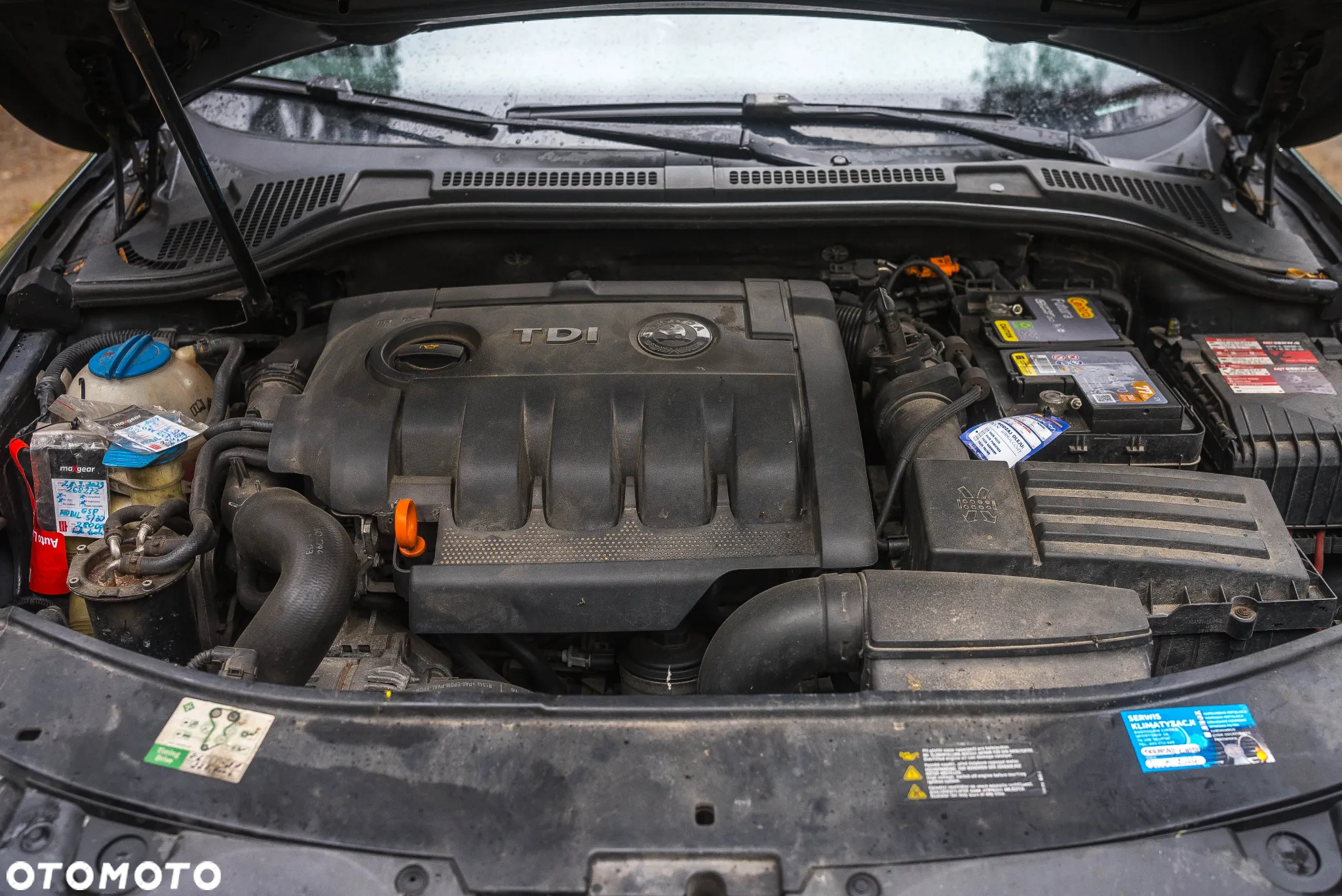 Skoda Superb 1.9 TDI Greenline - 2