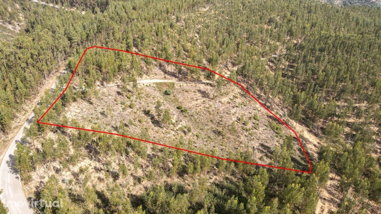 Terreno Rústico em Cernache do Bonjardim, Sertã! - Grande imagem: 3/10