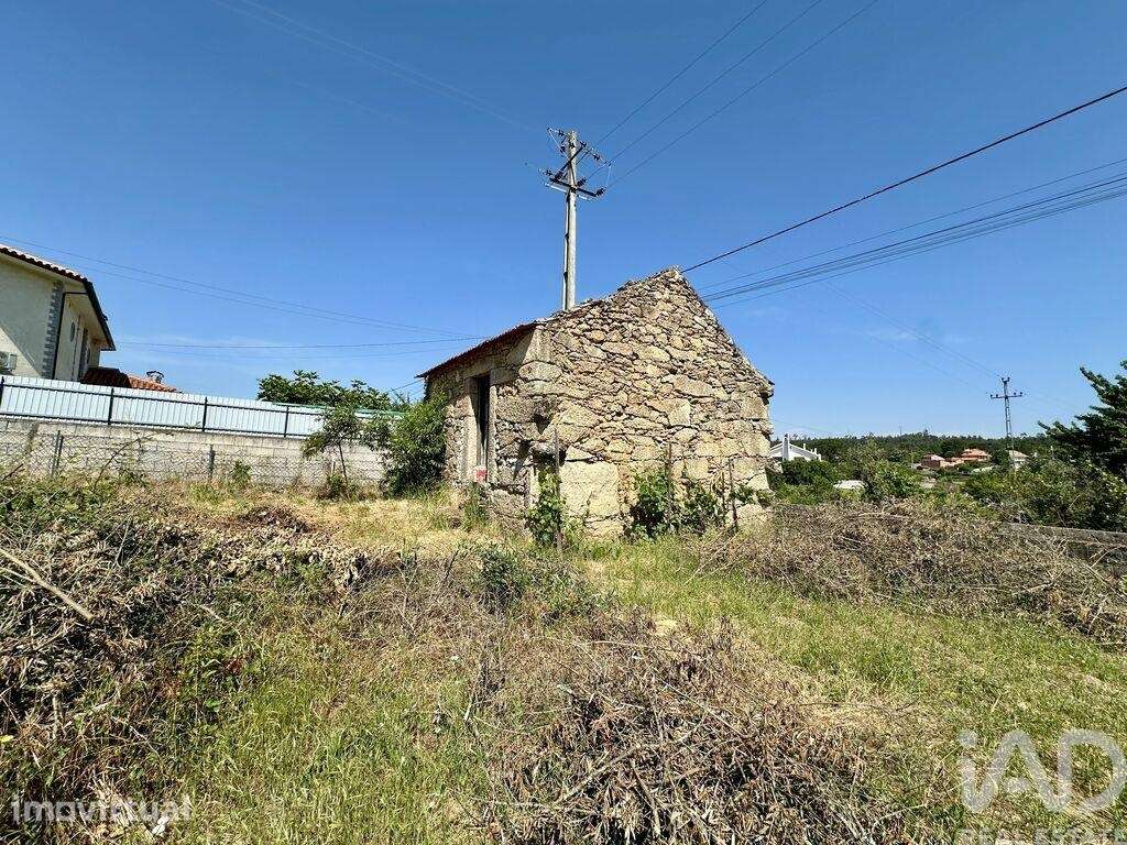 Terreno em Cunha Baixa - Grande imagem: 4/9
