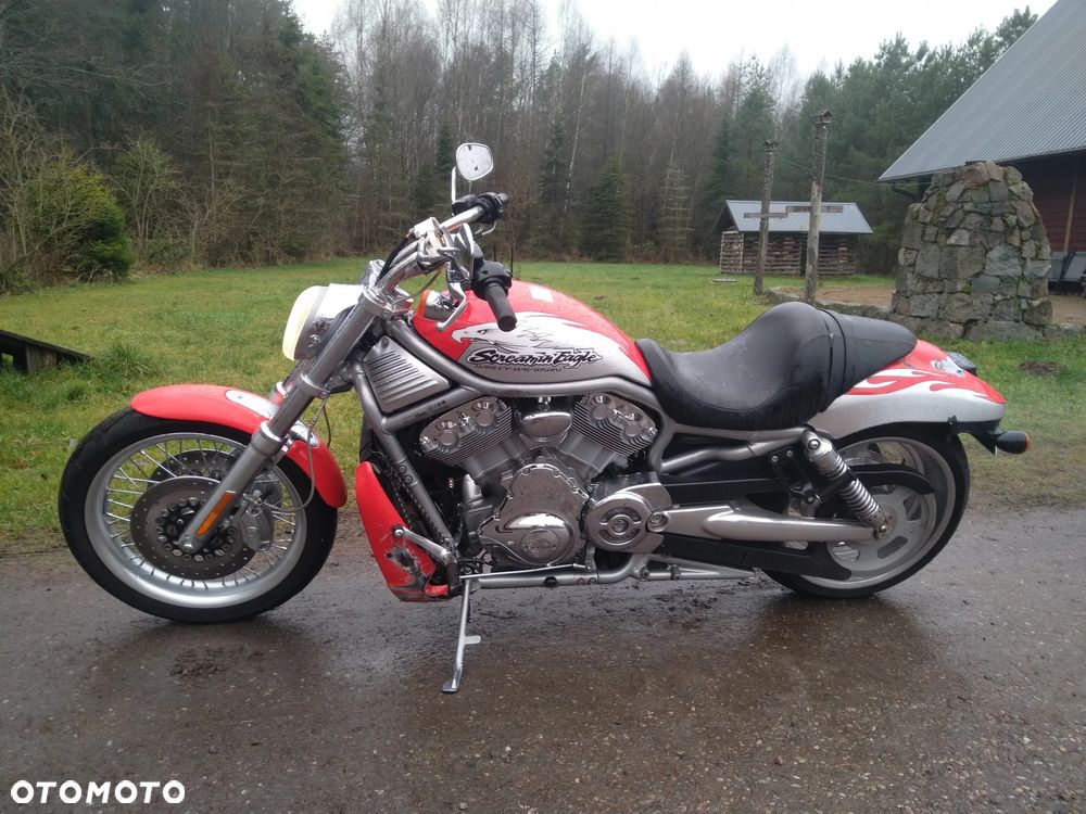 Harley-Davidson Softail V-Rod - 14