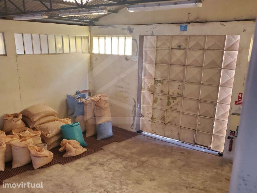 Armazém para Indústria em Lourosa, Santa Maria da Feira - Grande imagem: 4/15