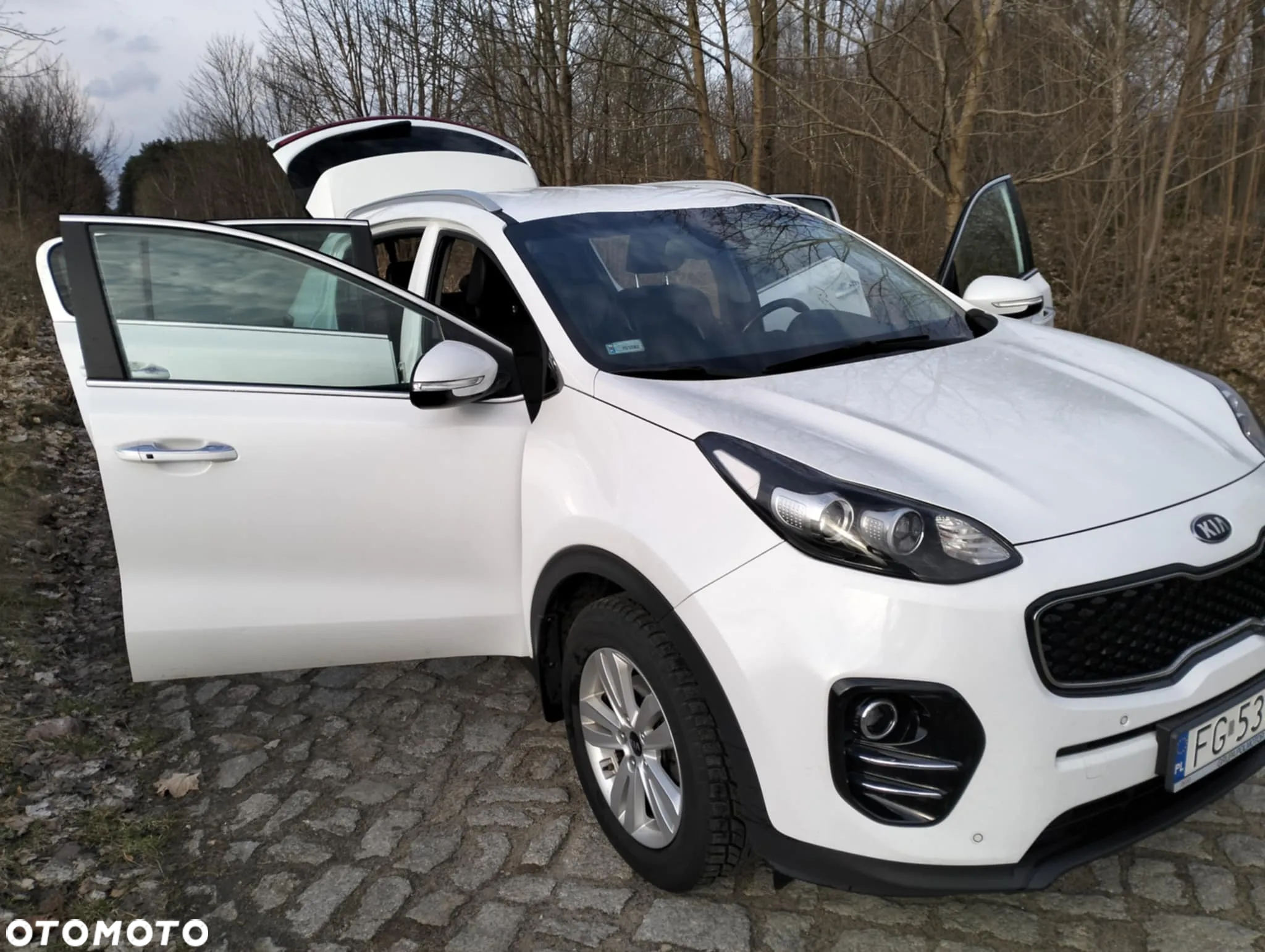Kia Sportage 1.6 GDI Business Line 2WD - 8