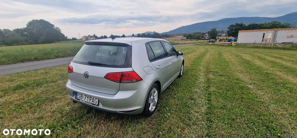 Volkswagen Golf - 8