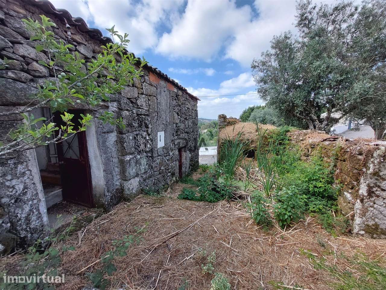 Quinta com 3 Ha em Fornos de Algodres - Grande imagem: 4/12