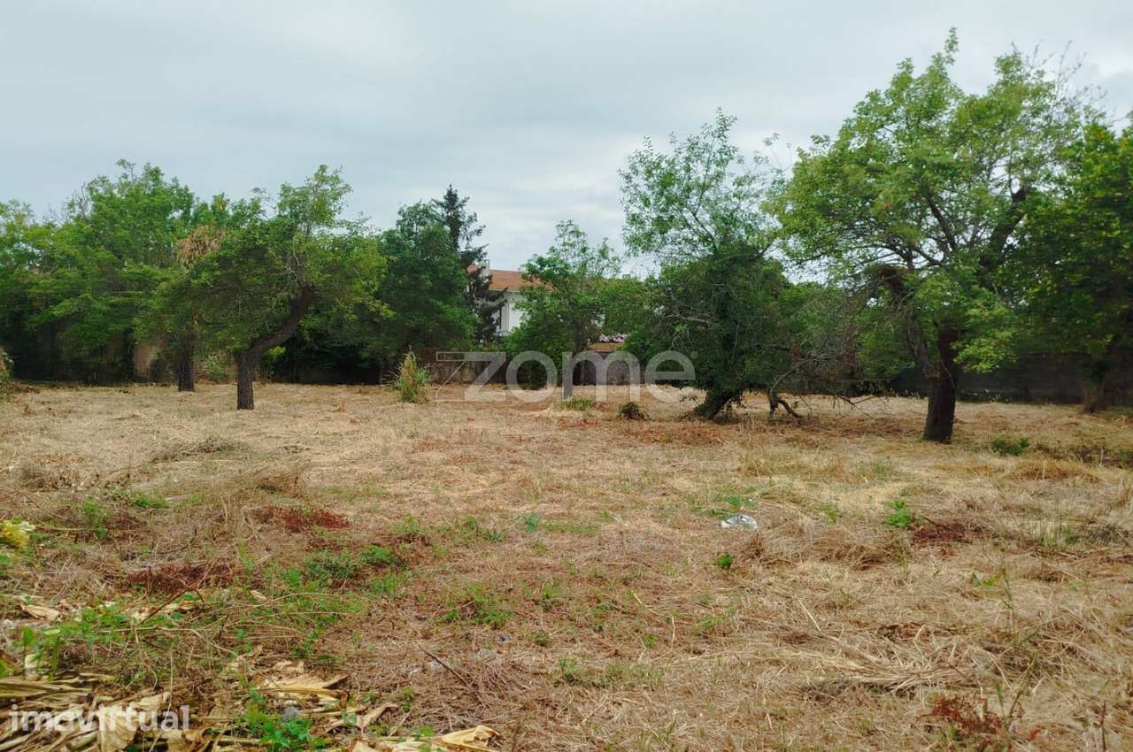 ÍLHAVO, S. Salvador - TERRENO para Construção - Grande imagem: 4/23