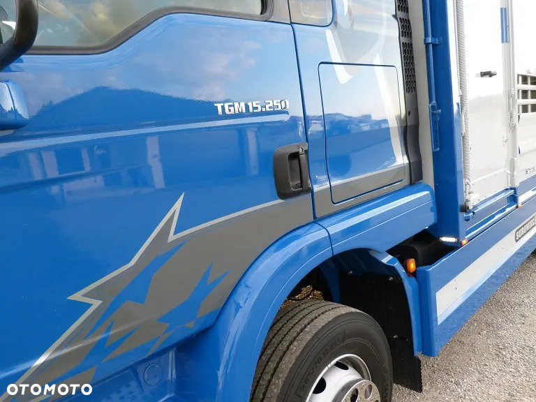 MAN TGM 15.250 DO ŻYWCA / ZWIERZĄT / BYDŁA / WAGA EL/. EURO 6 / DŁ. 5.20M /XENON - 15