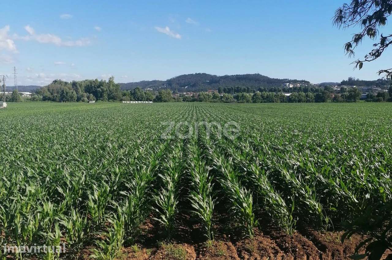 Terreno agrícola com 3.600 M2 em Fradelos Famalicão - Grande imagem: 2/15