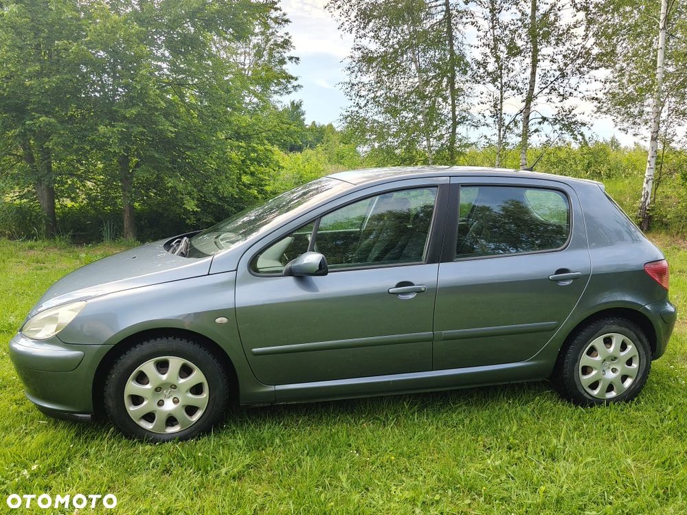 Peugeot 307 - 3