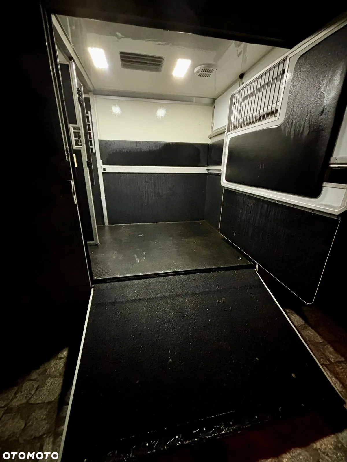 Opel MOVANO HORSEBOX - 15