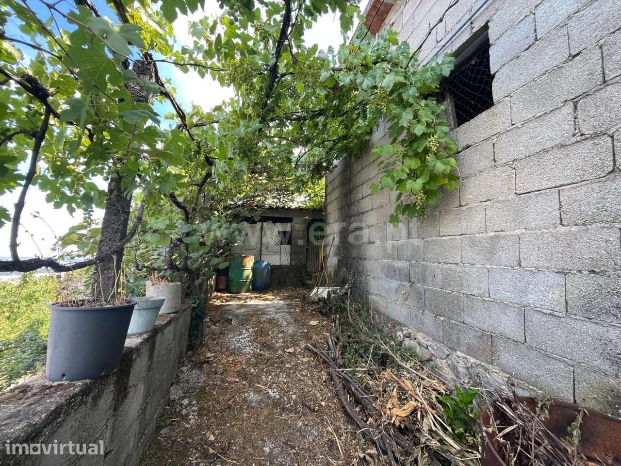 Terreno / Seia, São Romão - Grande imagem: 4/12