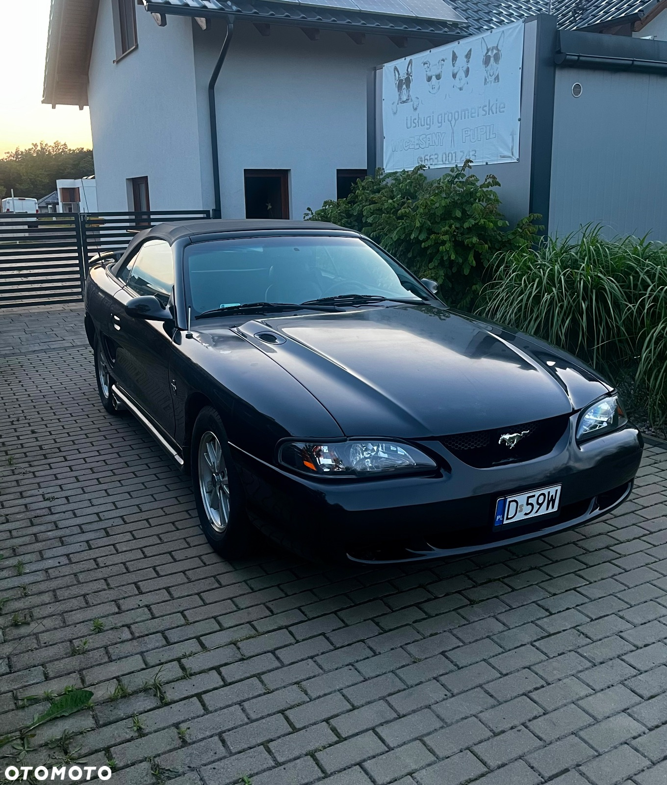 Ford Mustang 3.8 Convertible - 4