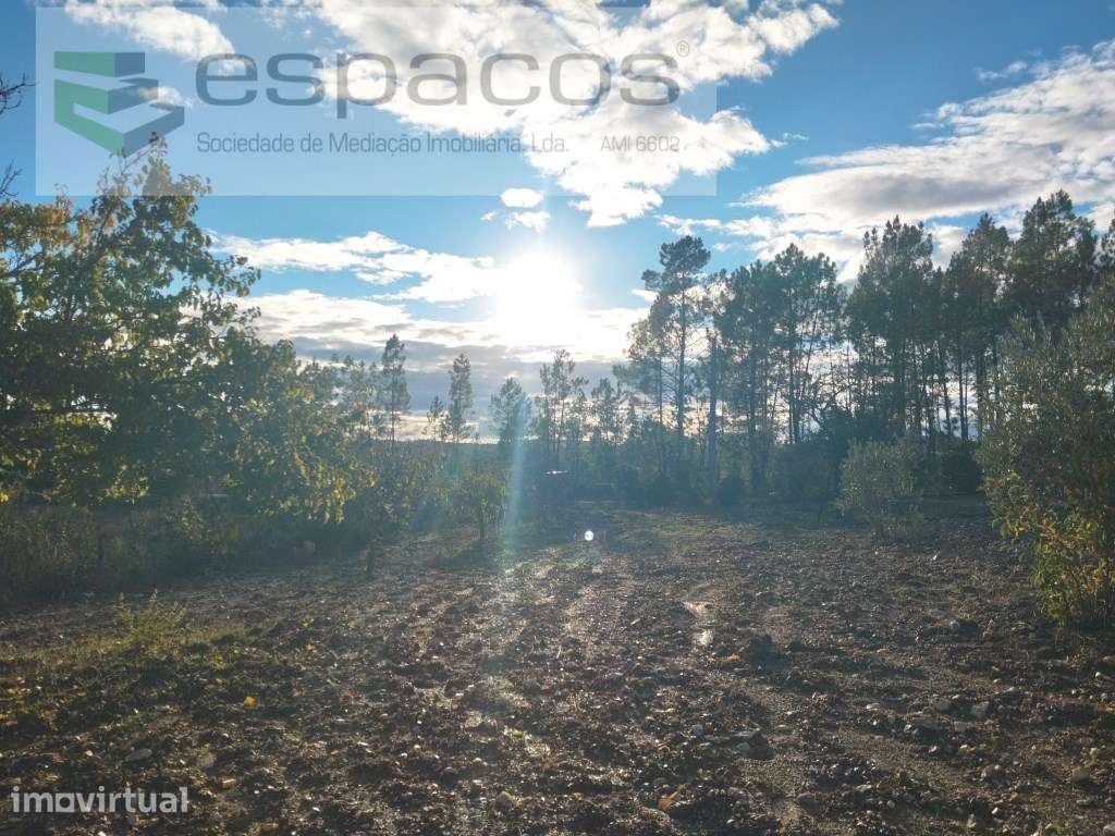 Terreno - Grande imagem: 5/11