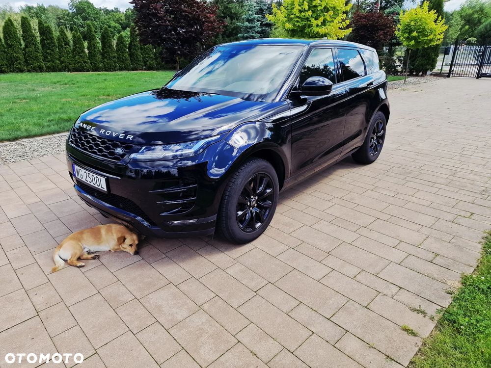 Land Rover Range Rover Evoque 2.0 D150 mHEV - 19