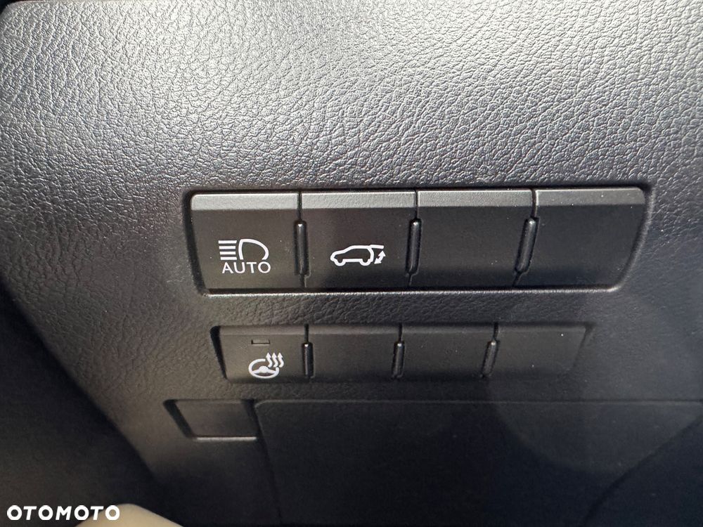 Lexus RX 450h Business Edition + - 24