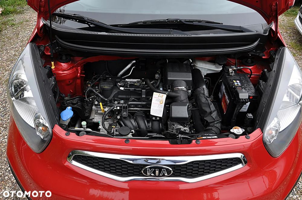 Kia Picanto 1.0 Dream Team Edition - 30