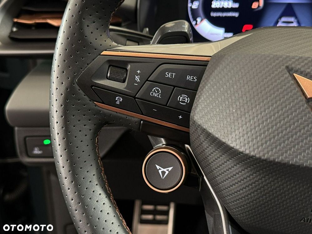 Cupra Terramar - 23